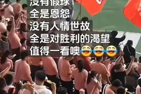 开云体育在线平台-反败为胜全靠离地打一动物